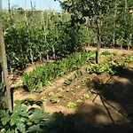 Bed and breakfast Porchiano Del Monte
