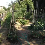 Porchiano Del Monte Bed and breakfast Amelia
