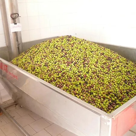 Porchiano Del Monte 3* أميليا