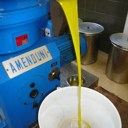 Bed and breakfast Porchiano Del Monte 3*