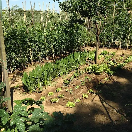 فندق مبيت وإفطار Porchiano Del Monte