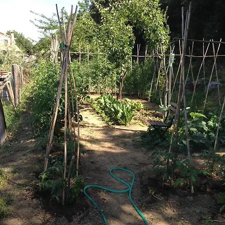 Porchiano Del Monte فندق مبيت وإفطار أميليا