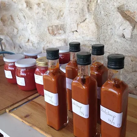 Bed and breakfast Porchiano Del Monte 3*