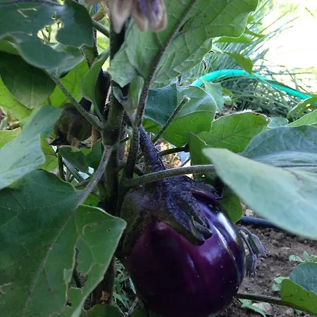 Porchiano Del Monte 3*